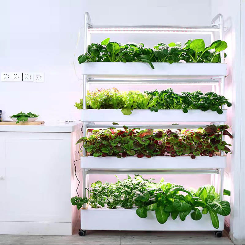 ydroponic Planting System Smar - огляд і ціна Diy Home Automation System